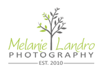 Logo for the Headshot Photographer