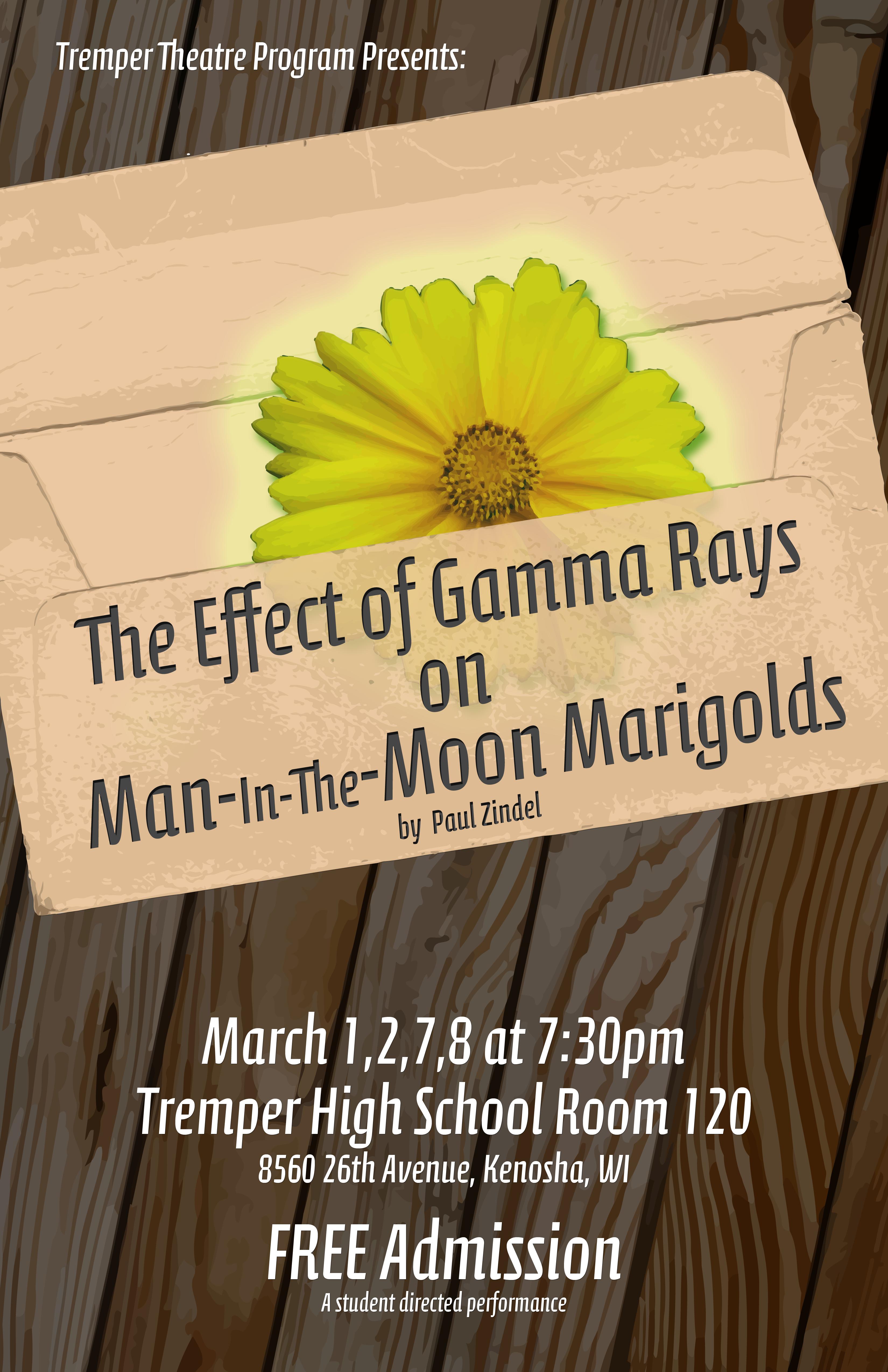 The poster for The Effect of Gamma Rays on Man-in-the-Moon Marigolds